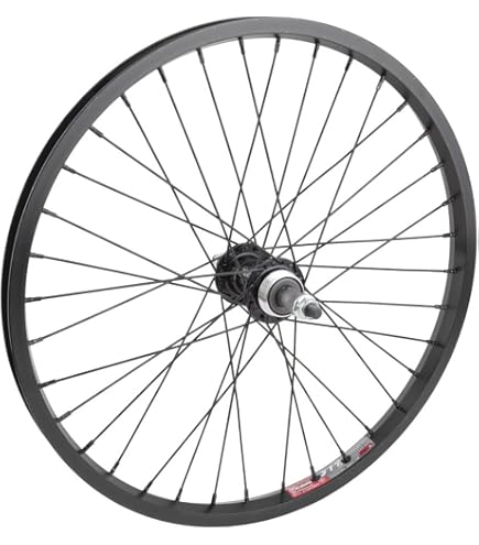Amazon.com: Alienation 20in Alloy BMX 20in RR Black Sheep Rim